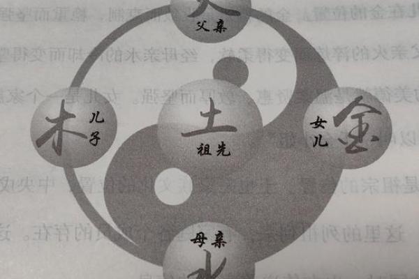 以命养命，万象皆备：探讨生命与生活的辩证关系