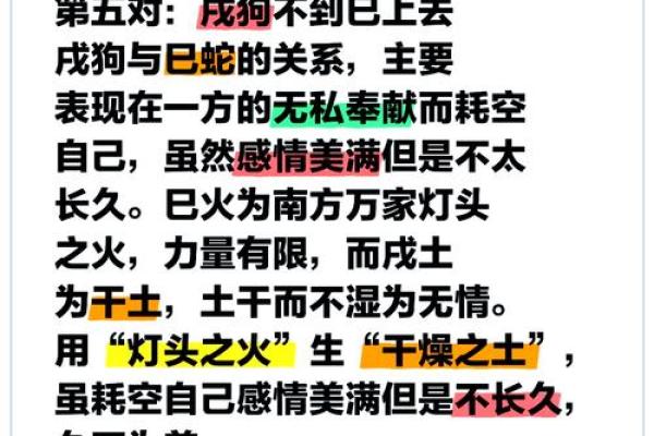 戌时狗巡视：命理中的守护之宠与智慧之象
