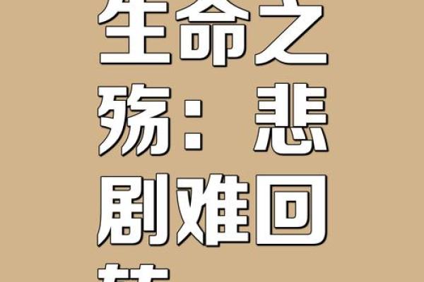 被抱养后的命运：每个生命都有独特的轨迹与希望