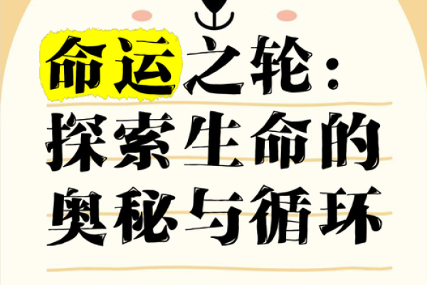 揭开阴历1974年出生者的命运之谜，探索命理与性格的奥秘