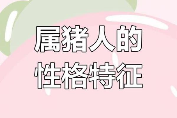 二十几属猪的命运解析：从性格到运势的全方位揭秘