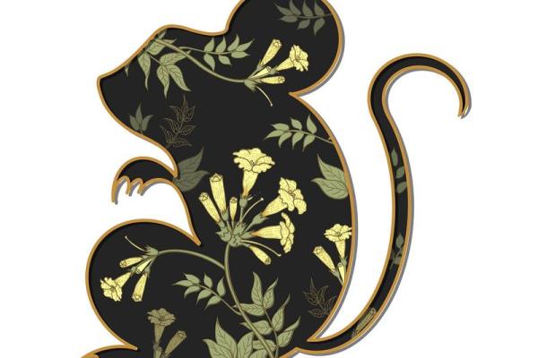 二十几属猪的命运解析：从性格到运势的全方位揭秘