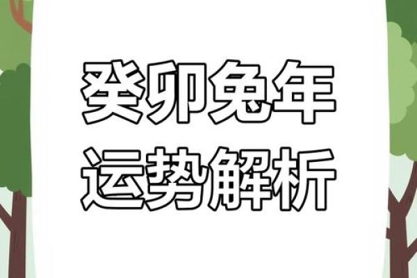 2023年兔年的运势：如何把握兔年命运，迎接美好未来