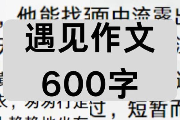 壬子丁巳命格解析：你心中的那片星海与人生方向