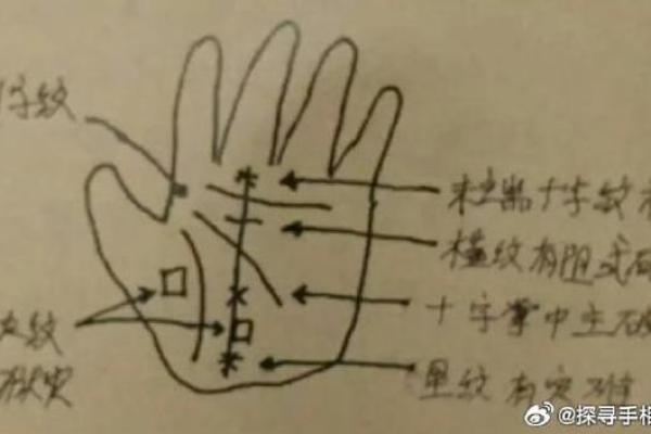 手相与命格：揭示你命运的秘密
