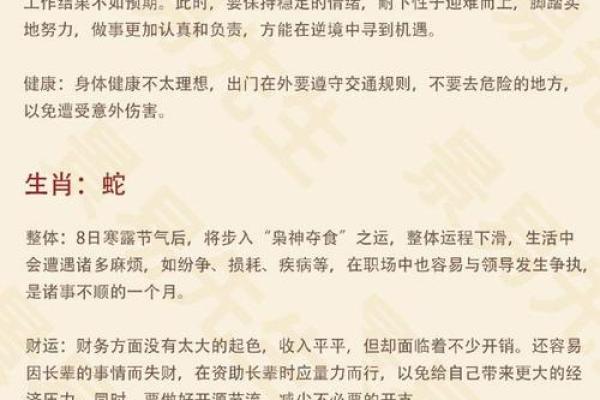 明年龙年：火命的象征与命理运势剖析