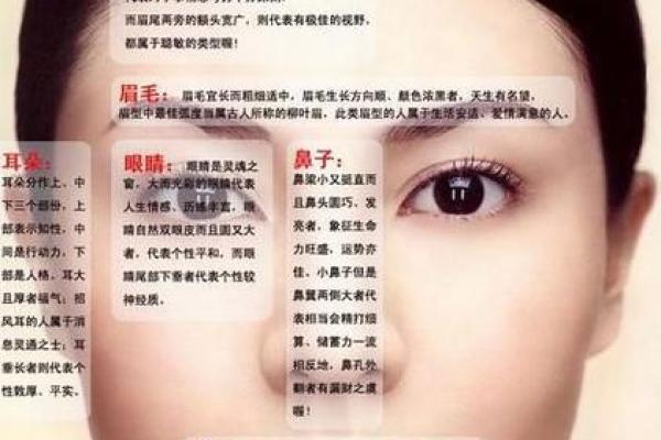 牙齿突出与命格的秘密：解密面相与命运的关联性