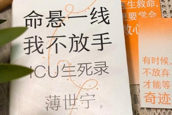 为什么我们的命很苦？生活中的挣扎与自我救赎
