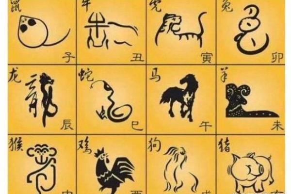 属什么生肖命最硬气，深度解析！