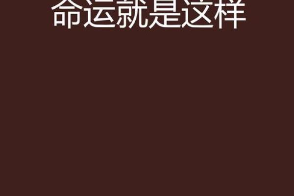 电影《命注定》的深刻寓意：我们如何面对命运的选择与挑战