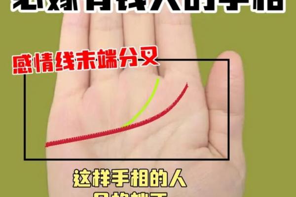 揭秘手相：男人旺妻命的秘密标志与解析