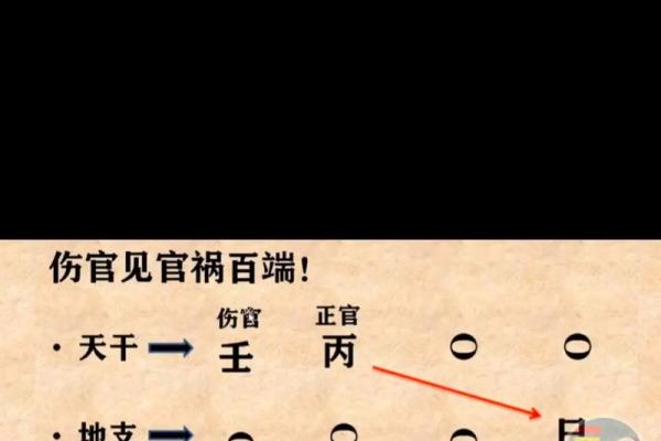 揭秘命短命长：如何掌握自己的命运？