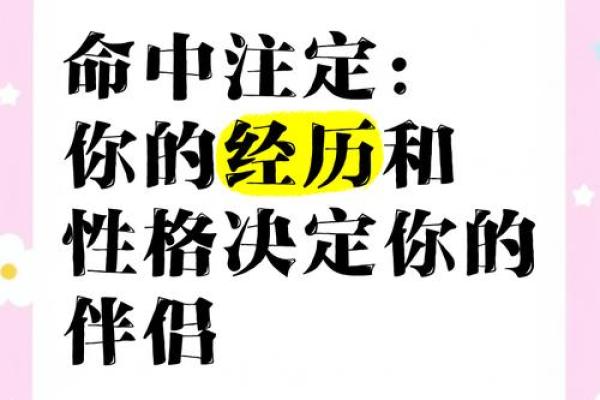 探讨2015年出生的人命运与性格特征