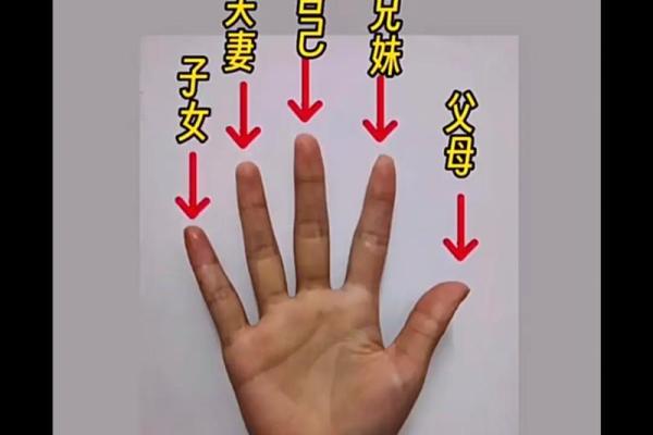 小手指太短，命运的秘密与人生启示