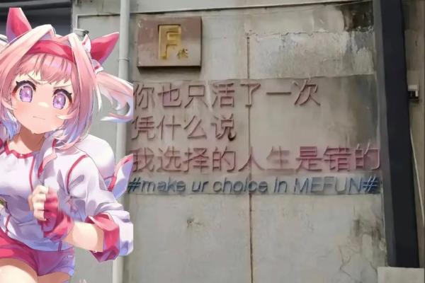 未命就在这命也：探索命运与选择的交织关系