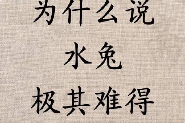 2023年兔年水命解析：让我们一起探寻水兔的智慧与灵动！