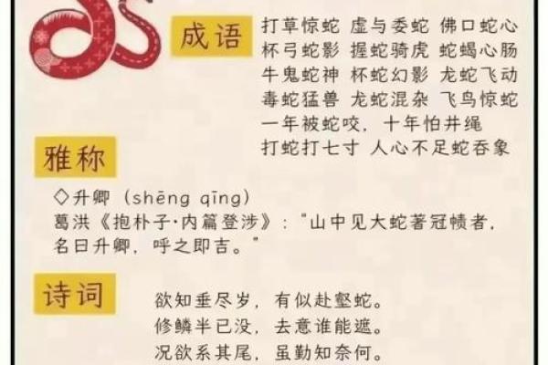命运的指引：揭晓“命”字相关的成语背后的智慧与故事