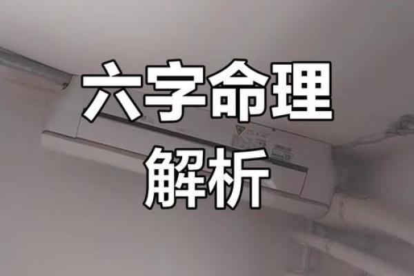 探索甲子生人命运：命好命坏的奥秘分析