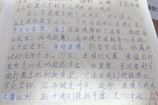 当爱遇上逆境：她的坚韧与重生之路