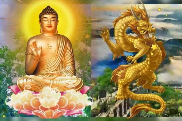 属龙年出生的人命运解析：富贵与挑战并存的神秘旅程
