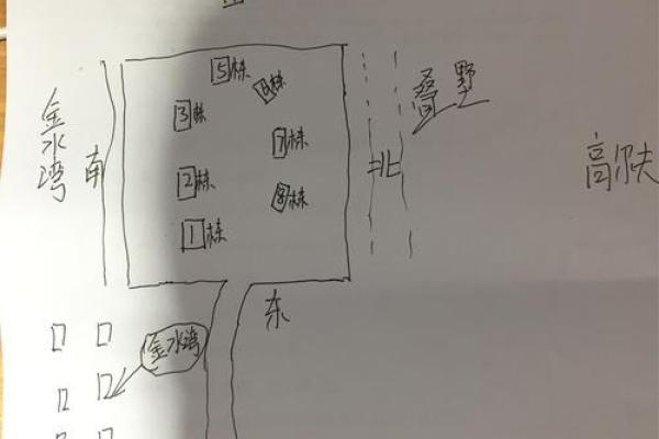 壮木命人的合适朝向与生活方式探讨