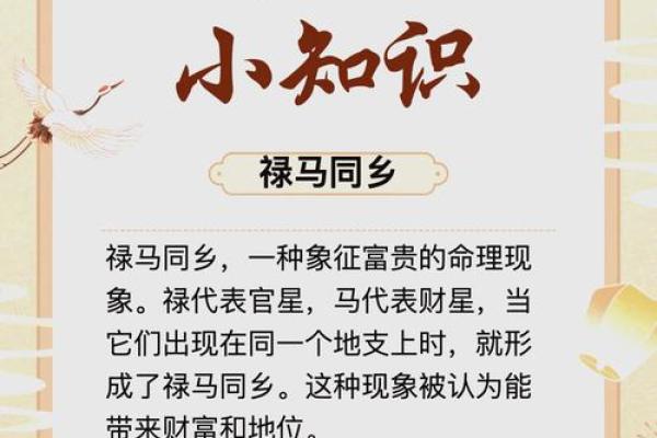 探寻命年深厚之意：从成语看人生智慧与哲理
