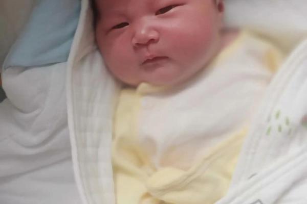正月出生的宝宝命理解析：你家小天使的未来如何？