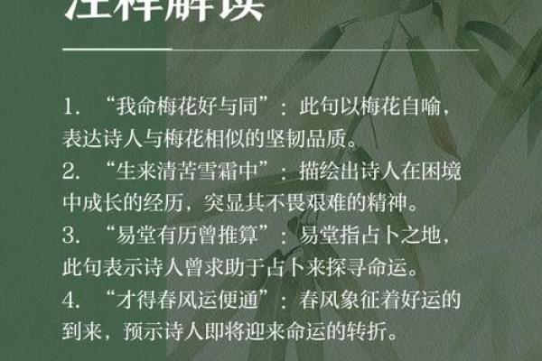 戊戌年冬月廿七，命运解析与人生智慧的探索