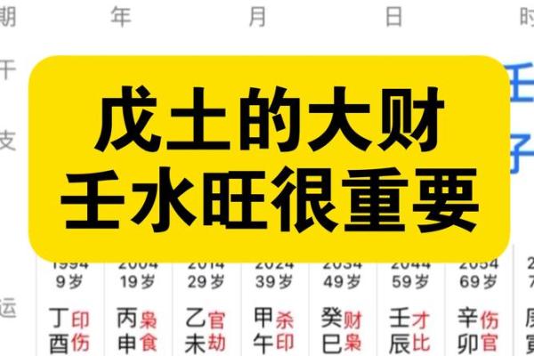揭秘癸亥大富大贵命：命理中的财富与荣耀之道