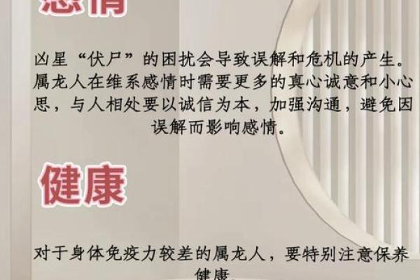 1996年属龙的命理解析：揭秘他们的性格与运势