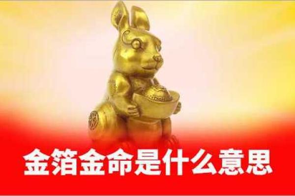 深入探讨：金命男金命女的命理特征与情感解析