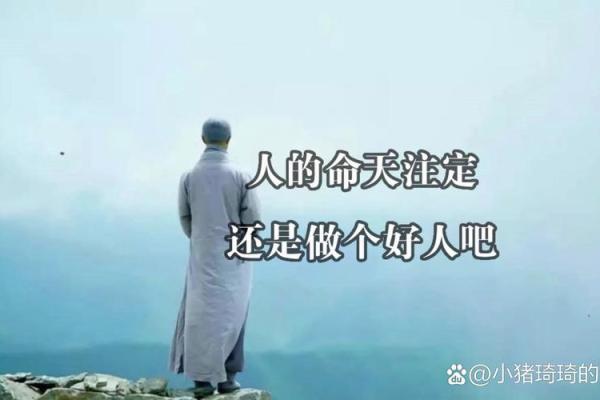 一命换一命：当生命的价值在泪水中升华