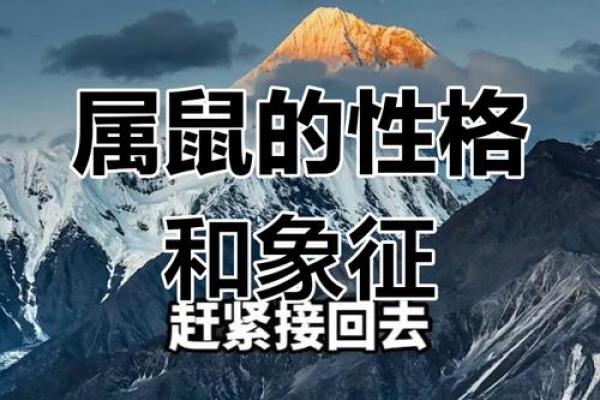 2008年出生的人：属鼠命之人的性格与命运解析