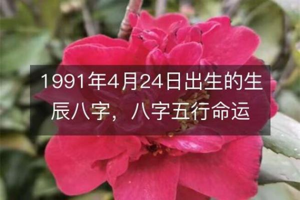 1991年出生的命运与人生的启示