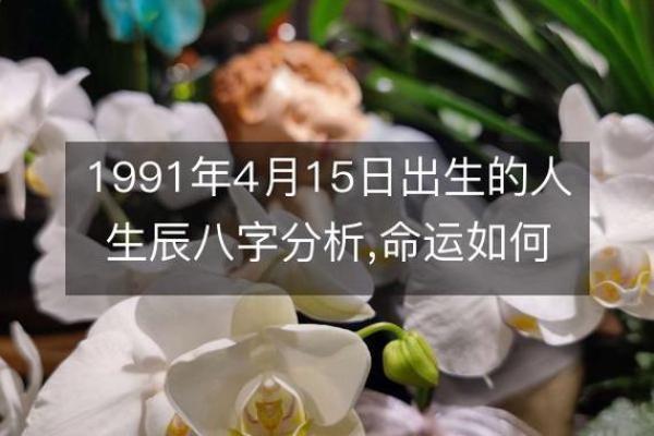 1991年出生的命运与人生的启示