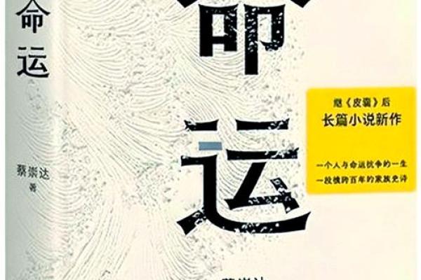 探寻命理之旅：从命运中读懂自己与未来的关系