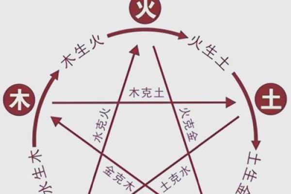 探秘土命与木命的相克相冲：命理中的平衡之道