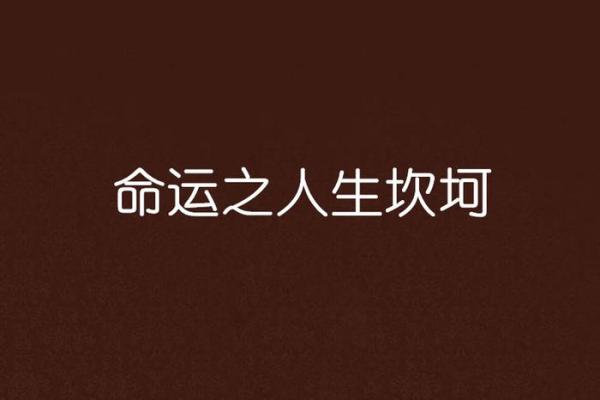 20012年：命运的十字路口，人生新篇章的序幕