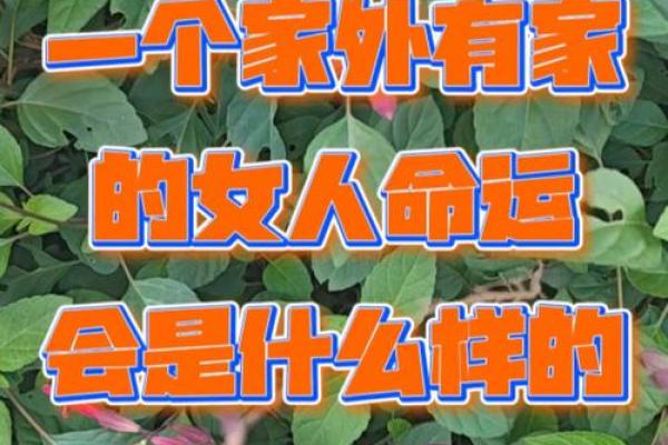 漂亮的女人：外貌与命运之间的深刻联系