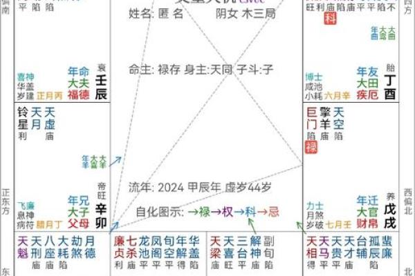 揭秘1956年阴历出生者的命运特征与人生轨迹