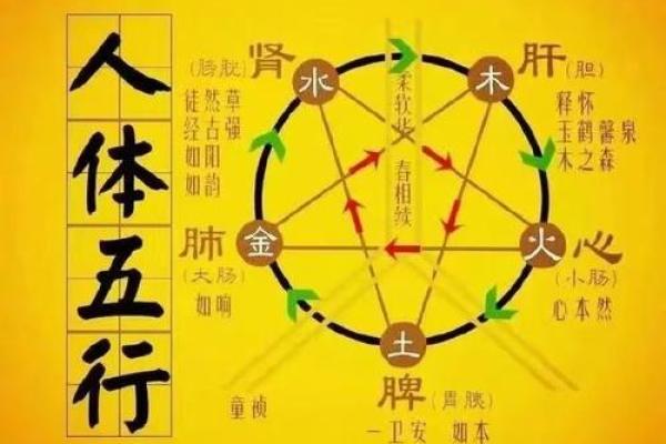炉中火命的色彩属性与生活哲学探秘