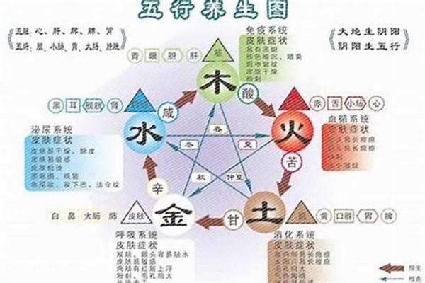 金命与火命家中画作的选择，如何调和五行风水？