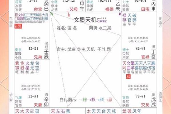 命理老师的命格解析：揭示你人生的财富与智慧之源