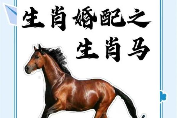 2014属马人的命运解析：欢乐与挑战并存的精彩人生