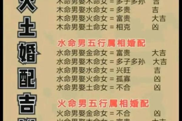 金命人交运注意事项：成功的秘籍与提升运势的关键！