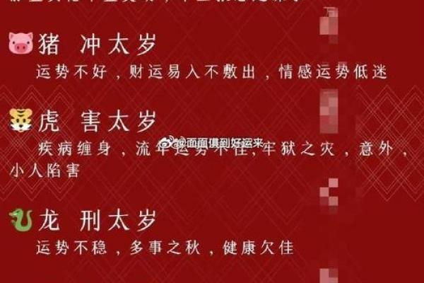 金命人交运注意事项：成功的秘籍与提升运势的关键！