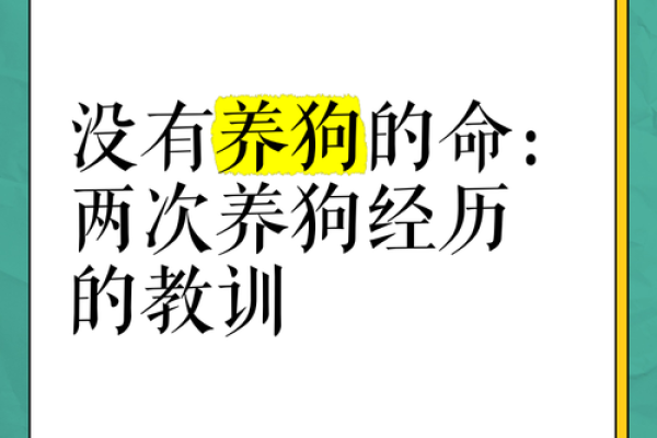 狗年出生的人是什么命：探寻忠诚与勇气的命运之路