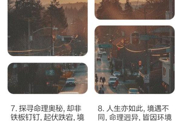 命理奥秘：2005年出生的你，命中注定的精彩人生！