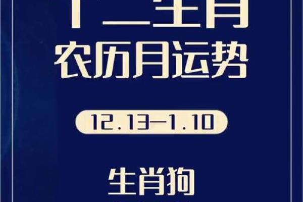 2023年属狗命理分析：缺什么？如何提升运势？
