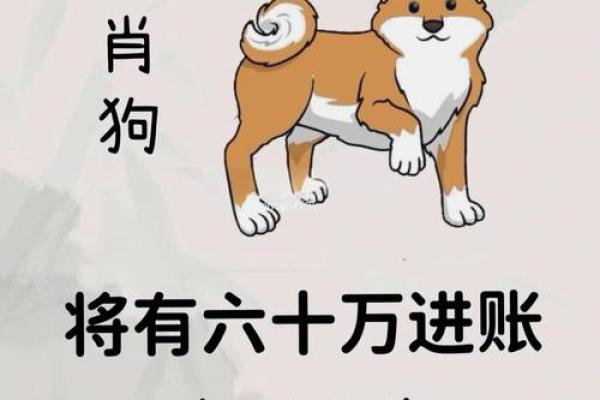 探讨1971年属狗人的命运特征与人生智慧
